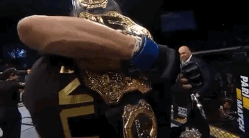ufc 232 sport GIF by UFC