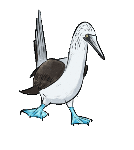 Birdtalk Sticker by girlinwhiteglasses