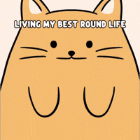 Happiness Yolo GIF by MESA My Emotional Support Animal