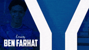 Soccer Bundesliga GIF by Karlsruher SC