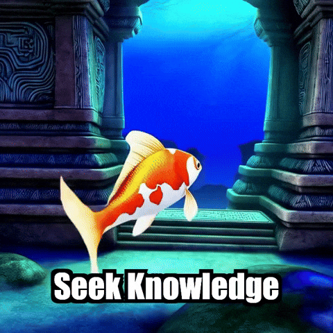 Wisdom Secrets GIF by TheConfishius