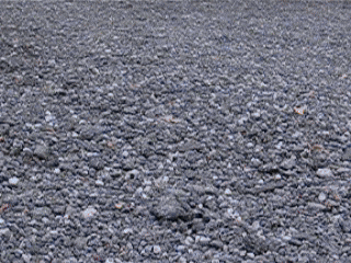 chrisfdtwo giphyupload acura csx chrisfdtwo GIF