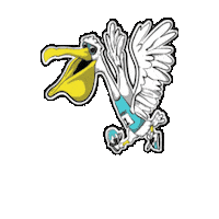 StPeteRunFest petey stpete stpeterunfest sprf Sticker