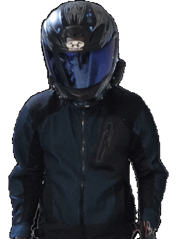 BaikusukinoREE giphyupload バイク好きのree Sticker