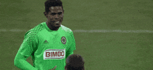andre blake hugs GIF by Philadelphia Union
