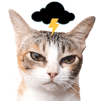 Angry Fed Up Sticker