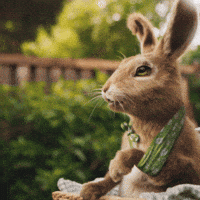 Bonjour Facepalm GIF by Migros