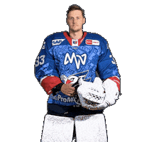 Hockey Goalie Sticker by Adler Mannheim