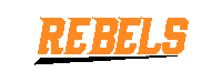 Football Nfl Sticker by Easemakers