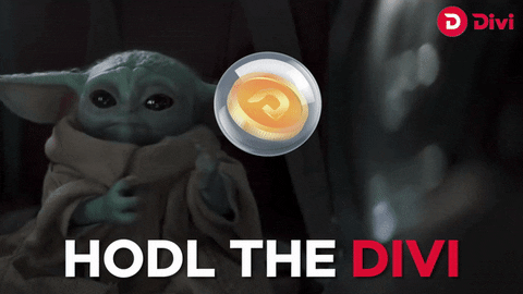 Bitcoin Crypto GIF by Divi Project