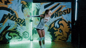 Volleyball Bison GIF by NDSU Athletics