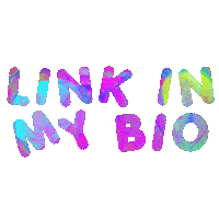 Link H27 Sticker