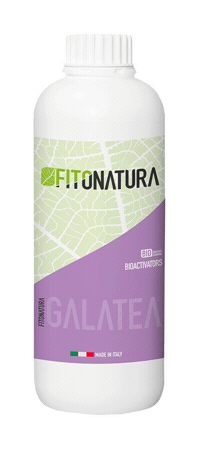Galatea Sticker by pasaddak.agro