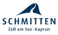 Winter Skiing Sticker by Schmittenhöhe