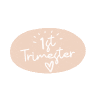 Pregnancy First Trimester Sticker