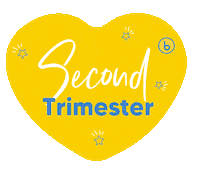 Bubzi baby pregnant pregnancy birth Sticker