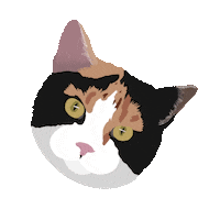 mo4paws cat dog cats dogs Sticker