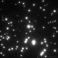 Black And White Art GIF by Pi-Slices