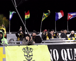 Usl Championship Flag GIF by Charleston Battery