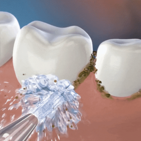 ivorysmilez giphyupload GIF