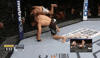 ufc 205 GIF