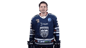 Hockey Jacobs GIF by Fehervar AV19