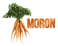 moron teledu Sticker by Carw Piws