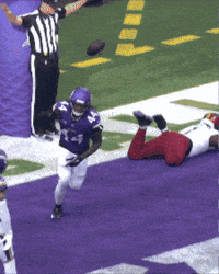 Celebration Defense GIF by Minnesota Vikings