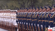 zheng zhi GIF