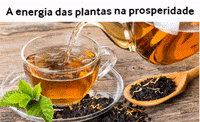 luzdaserra luzdaserra fitoenergtica patrciacndido GIF