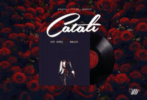 Live Music Analog GIF by Catāli