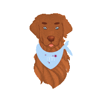 University Labrador Sticker by macromedia leipzig