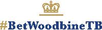 WoodbineRacetrack woodbine queens plate betwoodbinetb Sticker