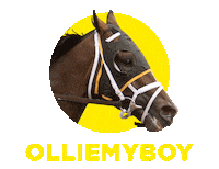 WoodbineRacetrack horse racing woodbine queens plate betwoodbinetb Sticker