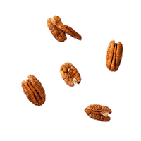 Quaker Pecan Sticker by IMA - Influencer Marketing Agency