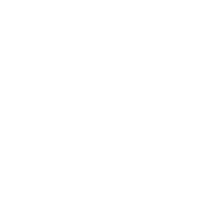 Snowflake Nadal Sticker