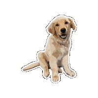 ShortStreetStore sss shortstreetstore shortstreetcafe short street cafe Sticker