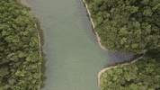 Camp Nox GIF by Nox Holloway