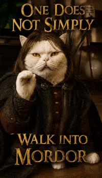 Lord Of The Rings Funny Cat GIF