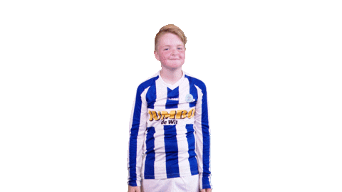 Voetbalvereniging_Scherpenzeel giphyupload sport voetbal bal Sticker