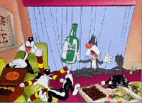 mira rajput travel GIF