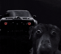 Dodge Challenger GIF