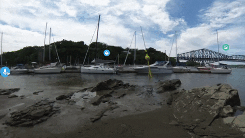 BloSo giphygifmaker GIF