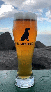 BlackLabBeer beer beach toronto lager GIF