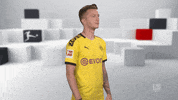 Proud Line Up GIF by Bundesliga