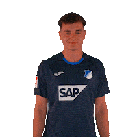 Sport Shrug Sticker by TSG Hoffenheim