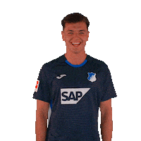Sport Bundesliga Sticker by TSG Hoffenheim