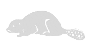 USask_Engineering engineering engineer beaver saskatchewan Sticker