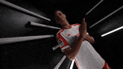 Germany Football GIF by Bundesliga