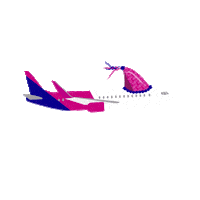 Happy Birthday Pink Sticker by Wizz Air